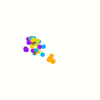 Export Image